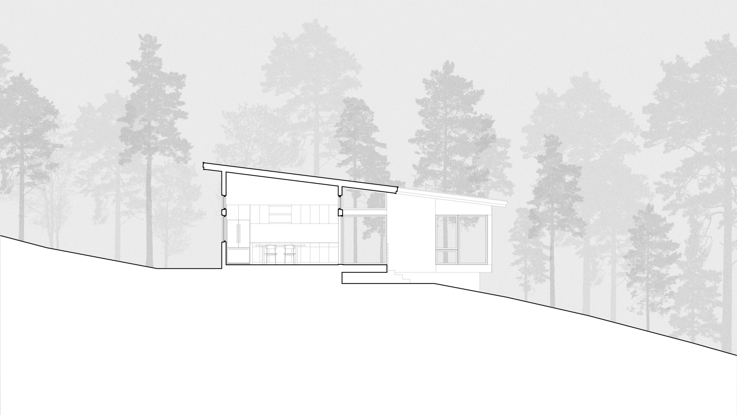 Bi-Plane Cabin custom design renderings by BellCraft Architects