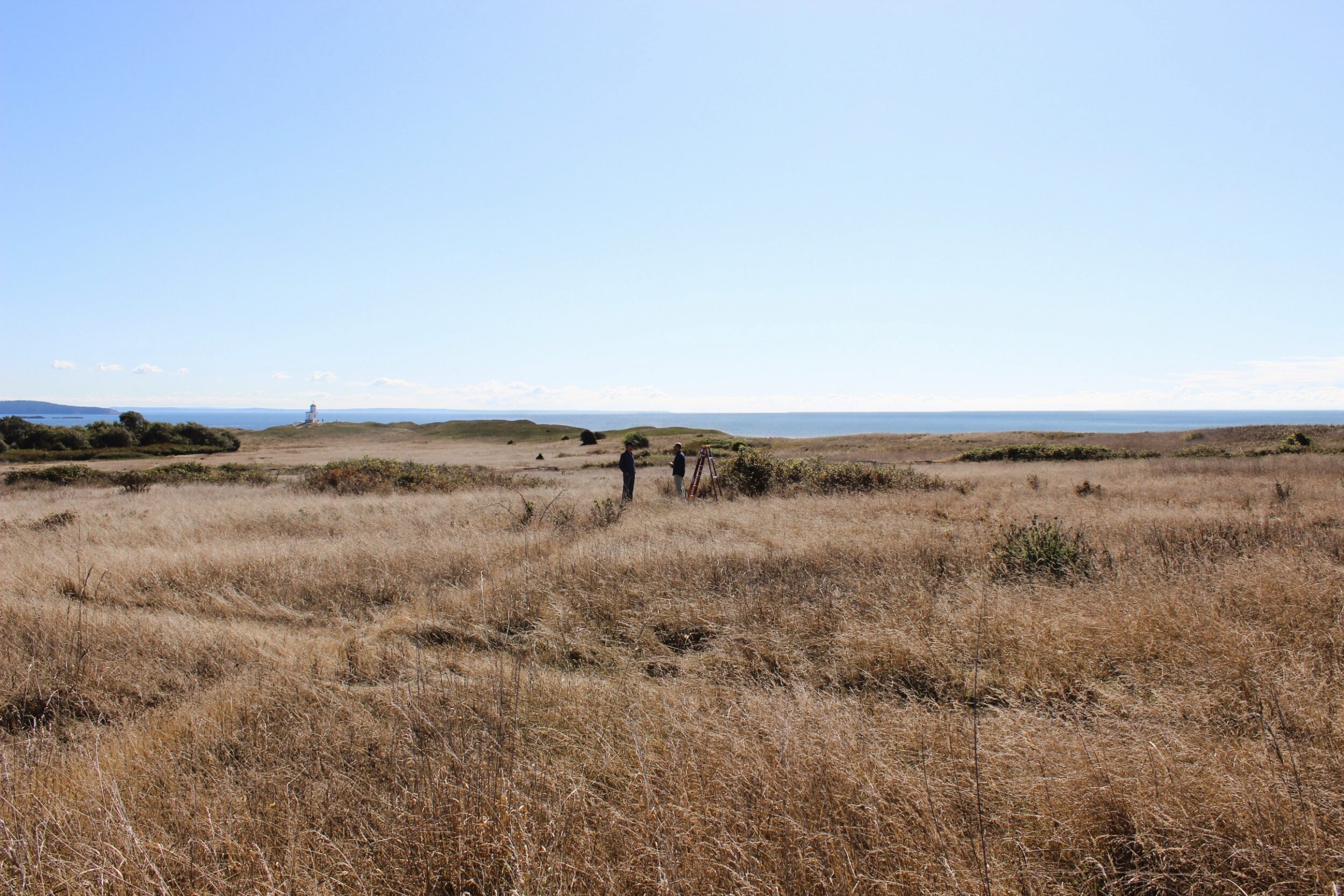 Open land with bright blue sky